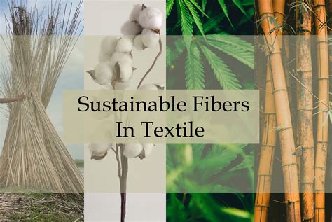  Jute Fiber:  A Sustainable Wonder for Durable Textiles and Biocomposites!