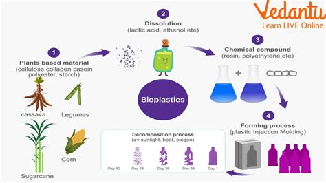 Arrowroot Processing for Industrial Bioplastics Applications: Unlocking Nature's Potential!