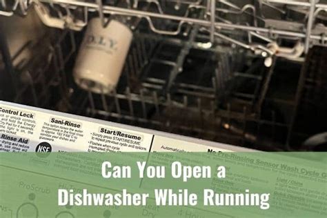 Can You Open a Dishwasher While It's Running, and Why Would You Want to Know If Penguins Dream of Electric Sheep?