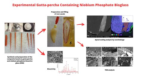 Gutta-Percha: เอกลักษณ์ของพอลิเมอร์ธรรมชาติสำหรับการประยุกต์ใช้ในอุตสาหกรรมยานยนต์และทางแพทย์!