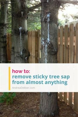 How to Remove Sap from Outdoor Furniture: A Comprehensive Guide