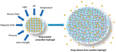  Hydrogel นวัตกรรมสุดล้ำสำหรับการปล่อยยาและวิศวกรรมเนื้อเยื่อ!