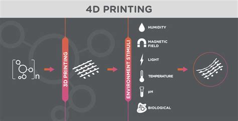 Lactide: Bioresorbable Marvel for Advanced Tissue Engineering Applications?