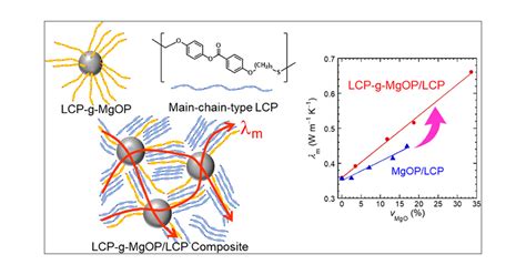  Liquid Crystalline Polymers:  สุดยอดวัสดุอเนกประสงค์ของอนาคต!