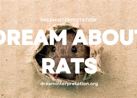 What Does It Mean to Dream About Rats Running Around? Exploring the Symbolism and Interpretations