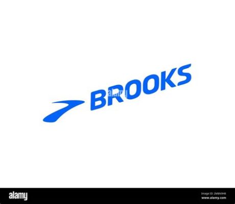 Who Owns Brooks Running Shoes: A Journey Through Ownership and Influence